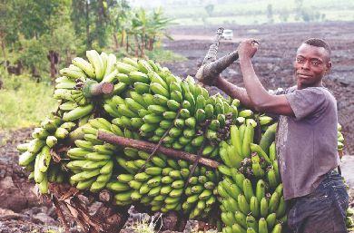 Care for the environment